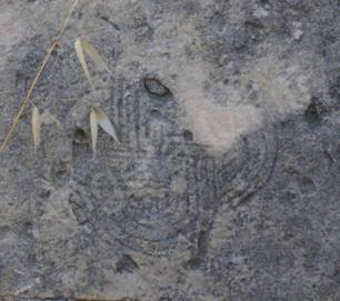 Nodo di Salomone.JPG