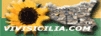 VIVI SICILIA: La Sicilia a 360 gradi.