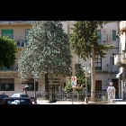 Monumento ai Caduti