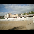 Stadio 