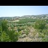 Campagna di Canicatt - Contrada Pidocchio