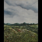 campo_con_papaveri.JPG