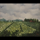 casa_rossa_tra_gli_alberi.JPG