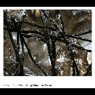 0011.jpg