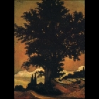 albero-vita.jpg