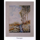 paesaggio.jpg