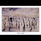 pesca_sil_lago.jpg