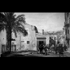 Palma3.jpg