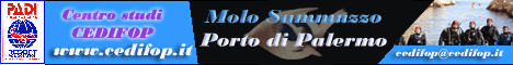 Centro Europeo di Formazione Professionale - Il Centro Studi C.E. DI FO.P. svolge prevalentemente attivit di formazione nel settore subacqueo.