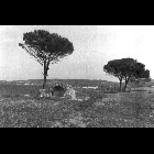Vitosoldano.jpg