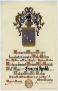 Nastro Azzurro