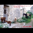 zona_dietro_chiesa_dello_Spirito_Santo.jpg