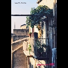 zona_via_Giotto.jpg