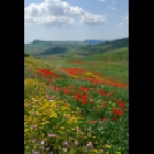 Paesaggio-25-04-080057.jpg