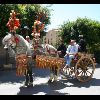IMG_5386.jpg