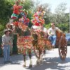 IMG_5387.jpg