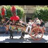 IMG_5392.jpg