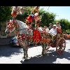 IMG_5397.jpg