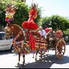 IMG_5399.jpg