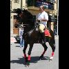 IMG_5410.jpg