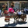 IMG_5424.jpg