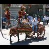 IMG_5431.jpg