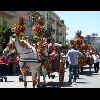 IMG_5449.jpg