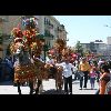 IMG_5451.jpg