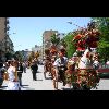 IMG_5460.jpg