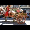 IMG_5481.jpg