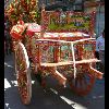 IMG_5482.jpg
