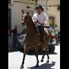 IMG_5506.jpg