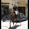 IMG_5517.jpg