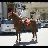 IMG_5524.jpg