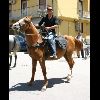 IMG_5536.jpg