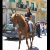 IMG_5537.jpg