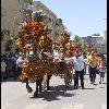 _DSC6438.jpg