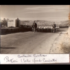 Contrada_Carlino.jpg